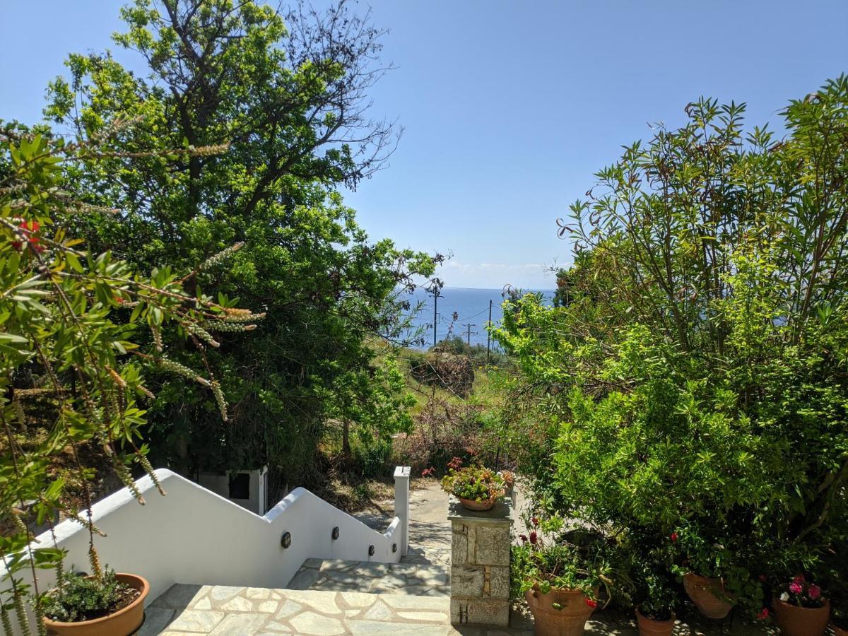 Oikia Guesthouse Στάφυλος Εξωτερικό φωτογραφία